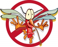 Muỗi trong nhà và cách diệt muỗi trong nhà hiệu quả